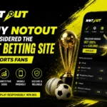 Why Notout Is Considered the Best Betting Site for Sports Fans